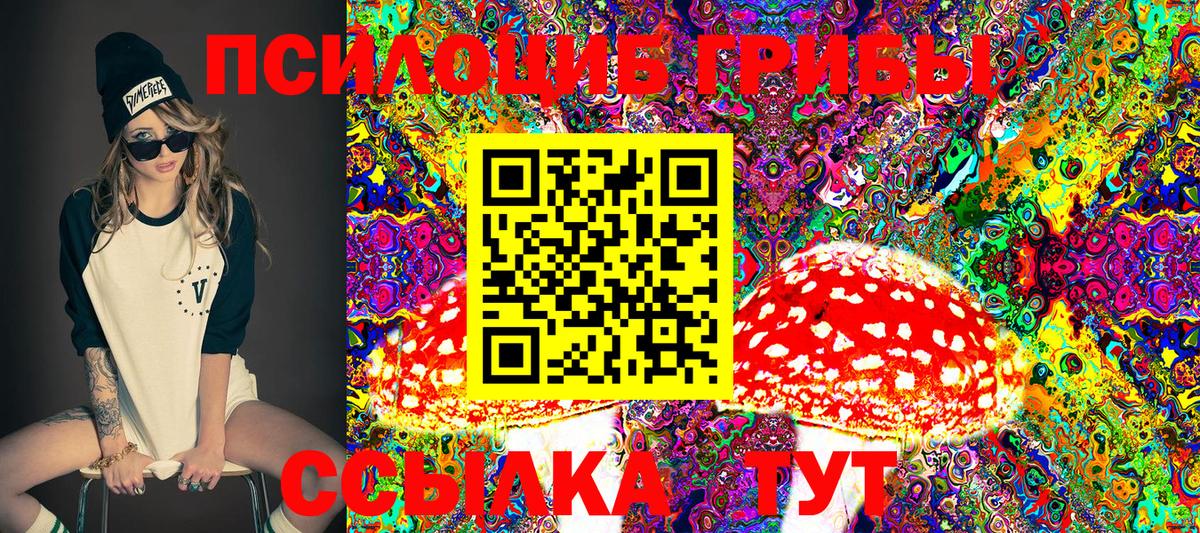 Галлюциногенные грибы Psilocybine cubensis Беслан